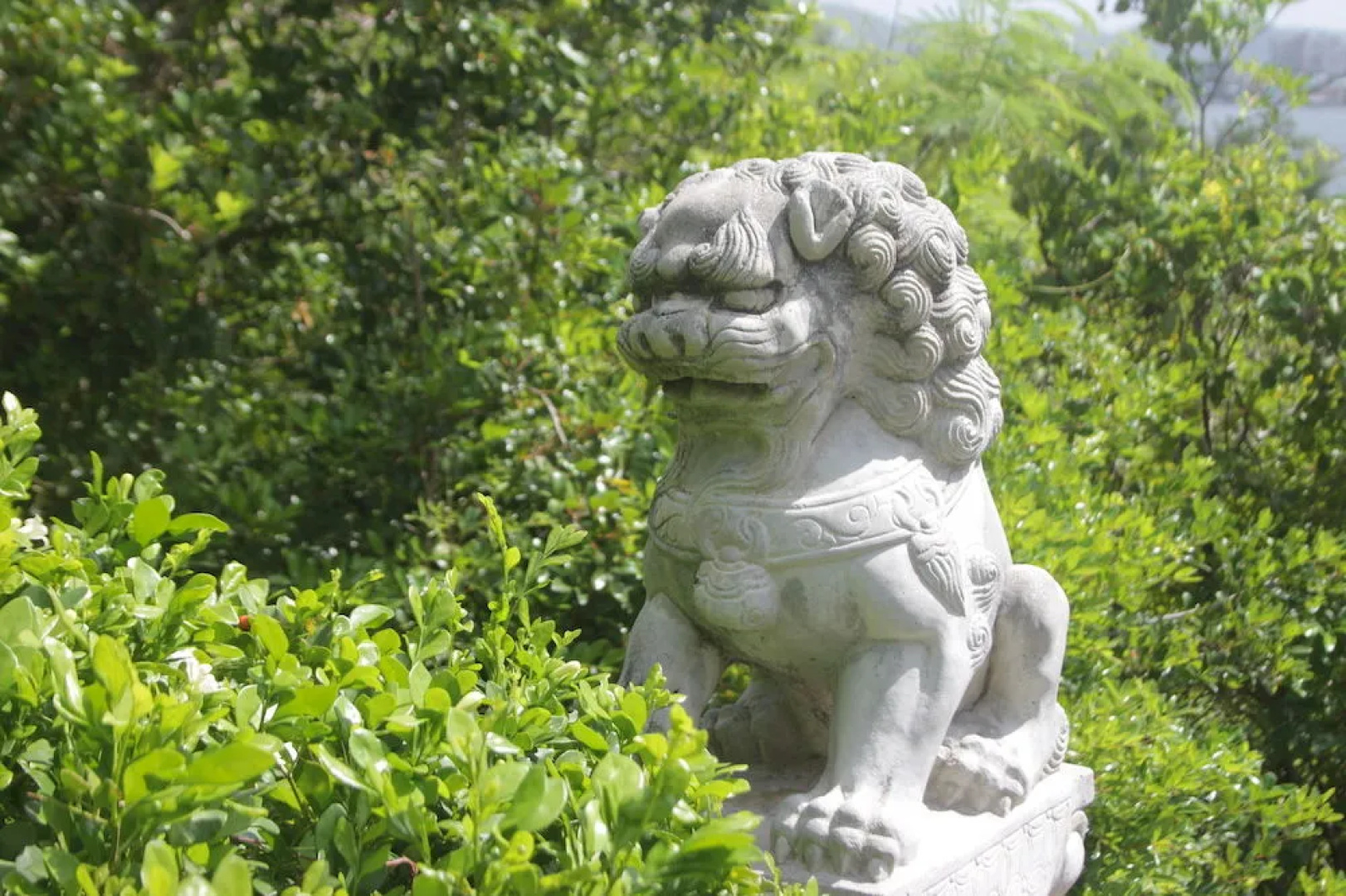 Grand View Guest House