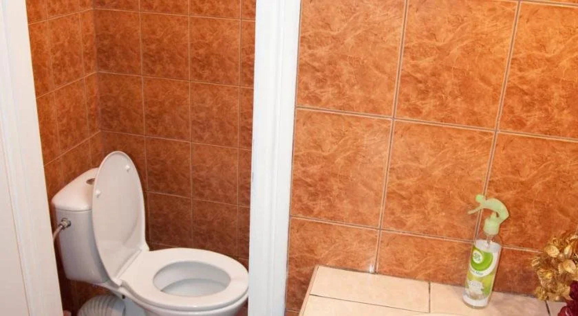 Черри Хостел