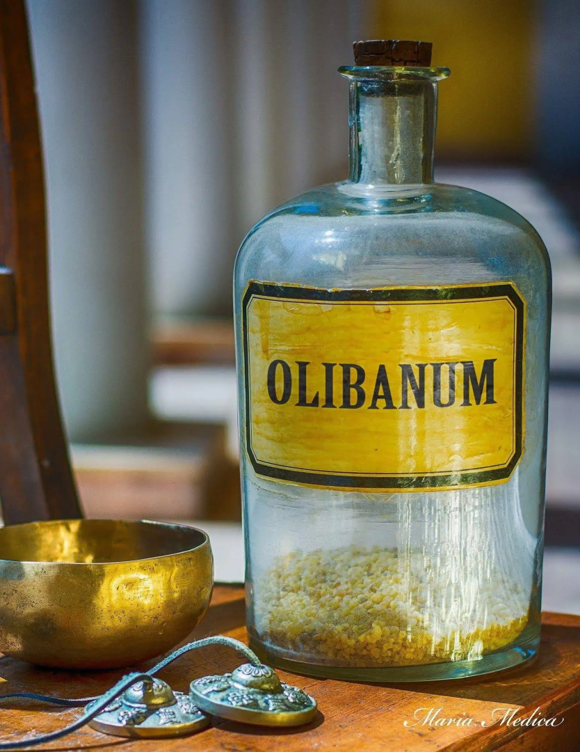 Wellness Hotel La Passionaria