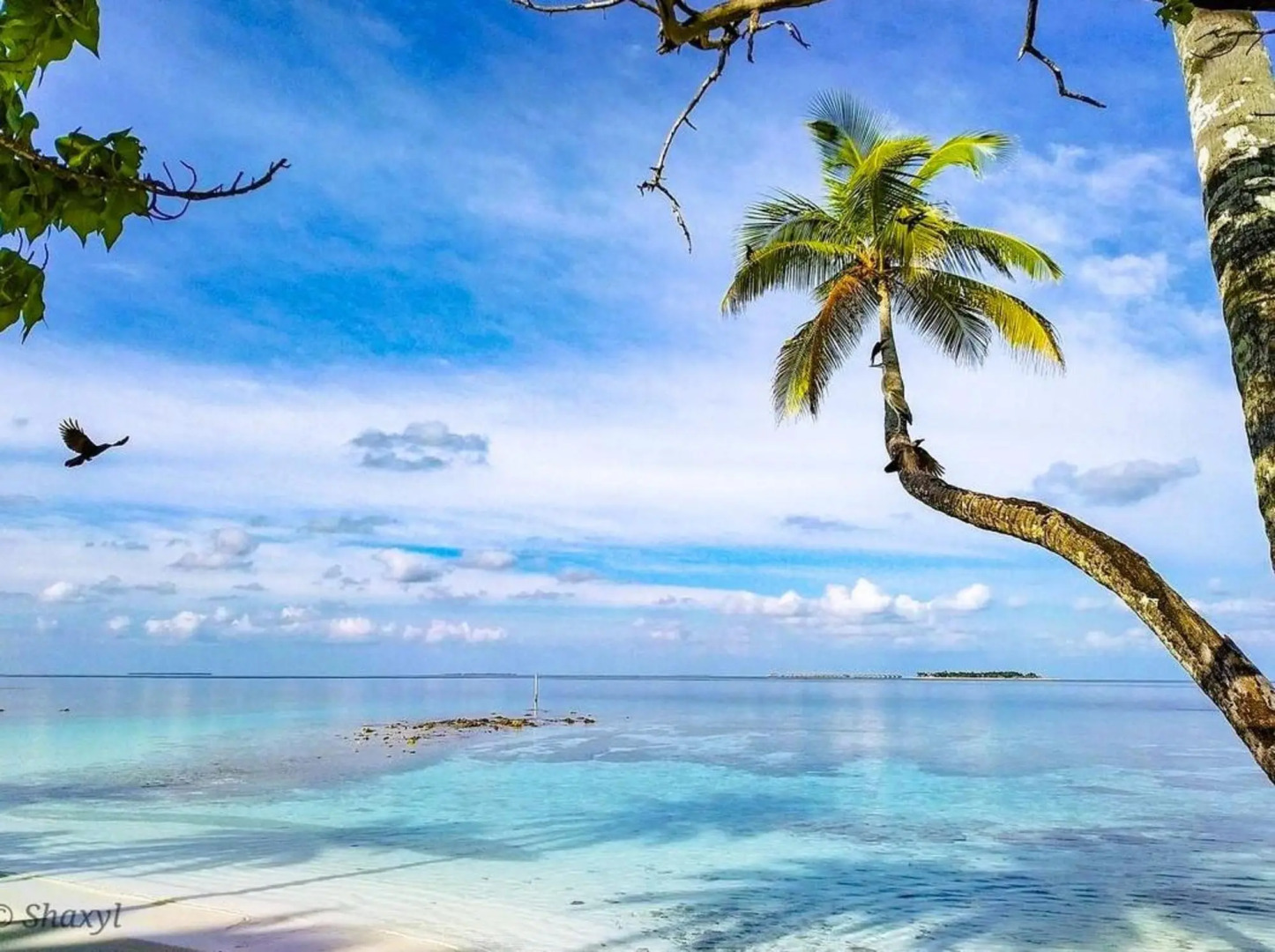 Villa Stella, Rinbudhoo