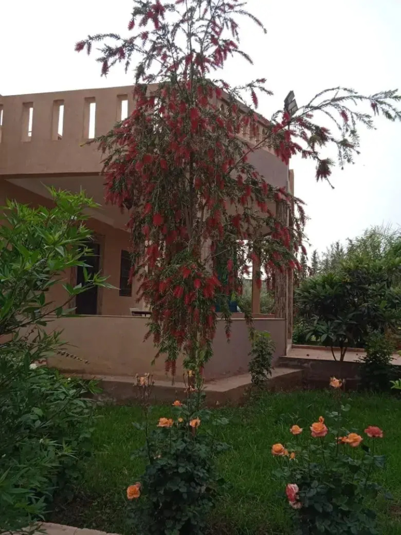 Villa Chouiter Center