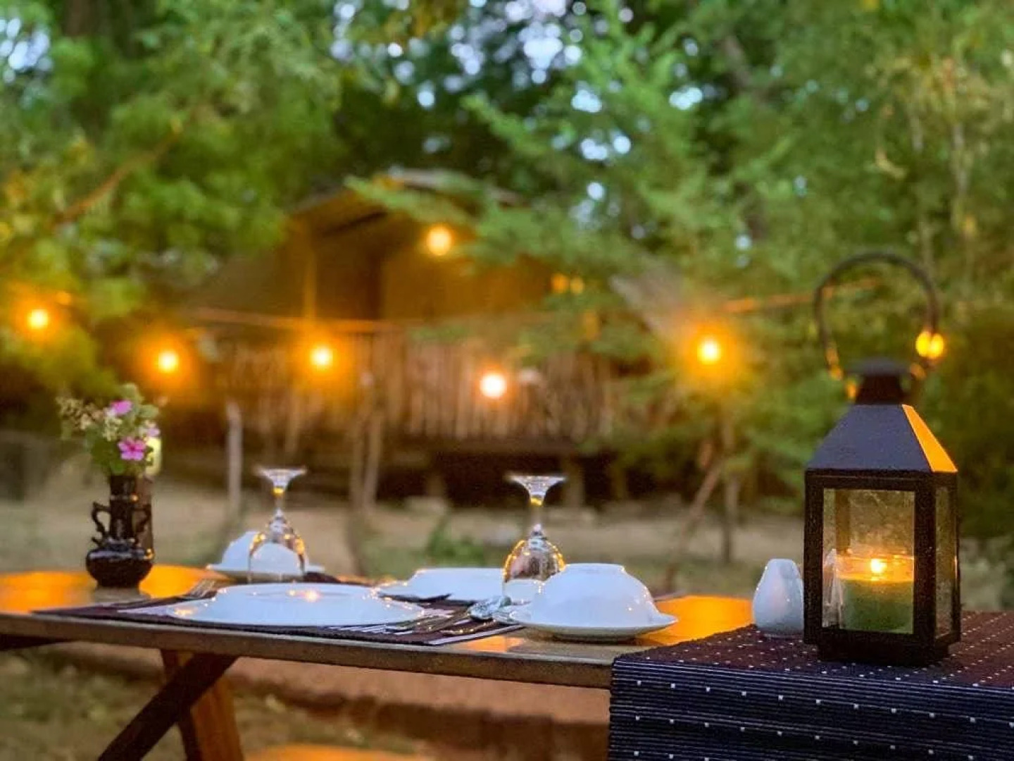 Camp Leopard - Yala Safari Glamping