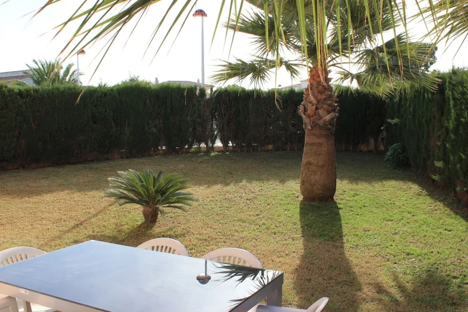 113 Campo Olivar, 501