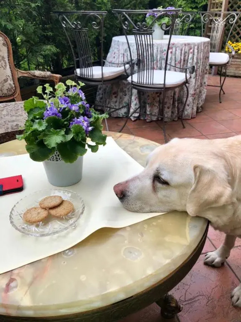 Pensjonat Pod Lipami