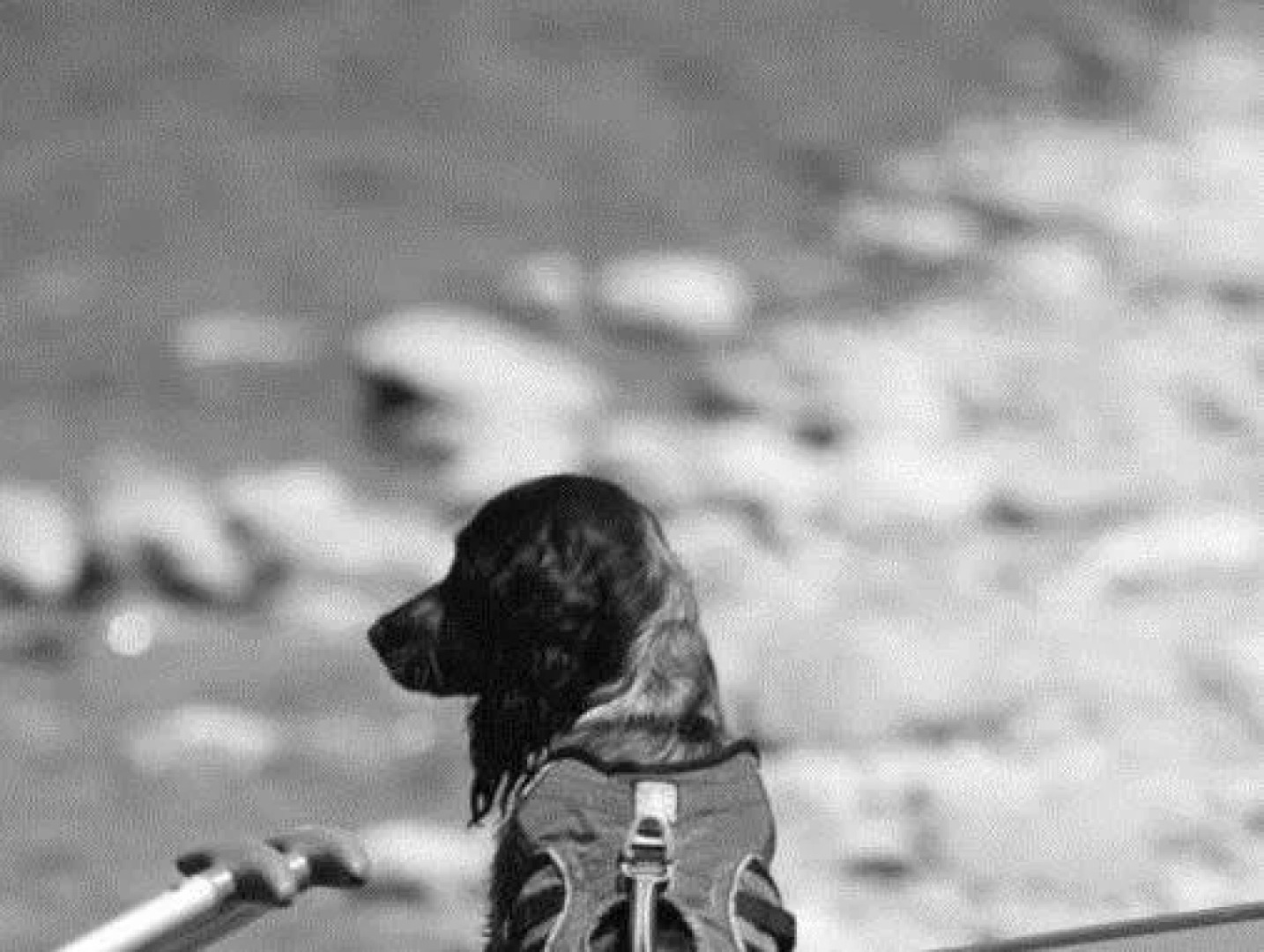 Hotel La Casa Del Rio