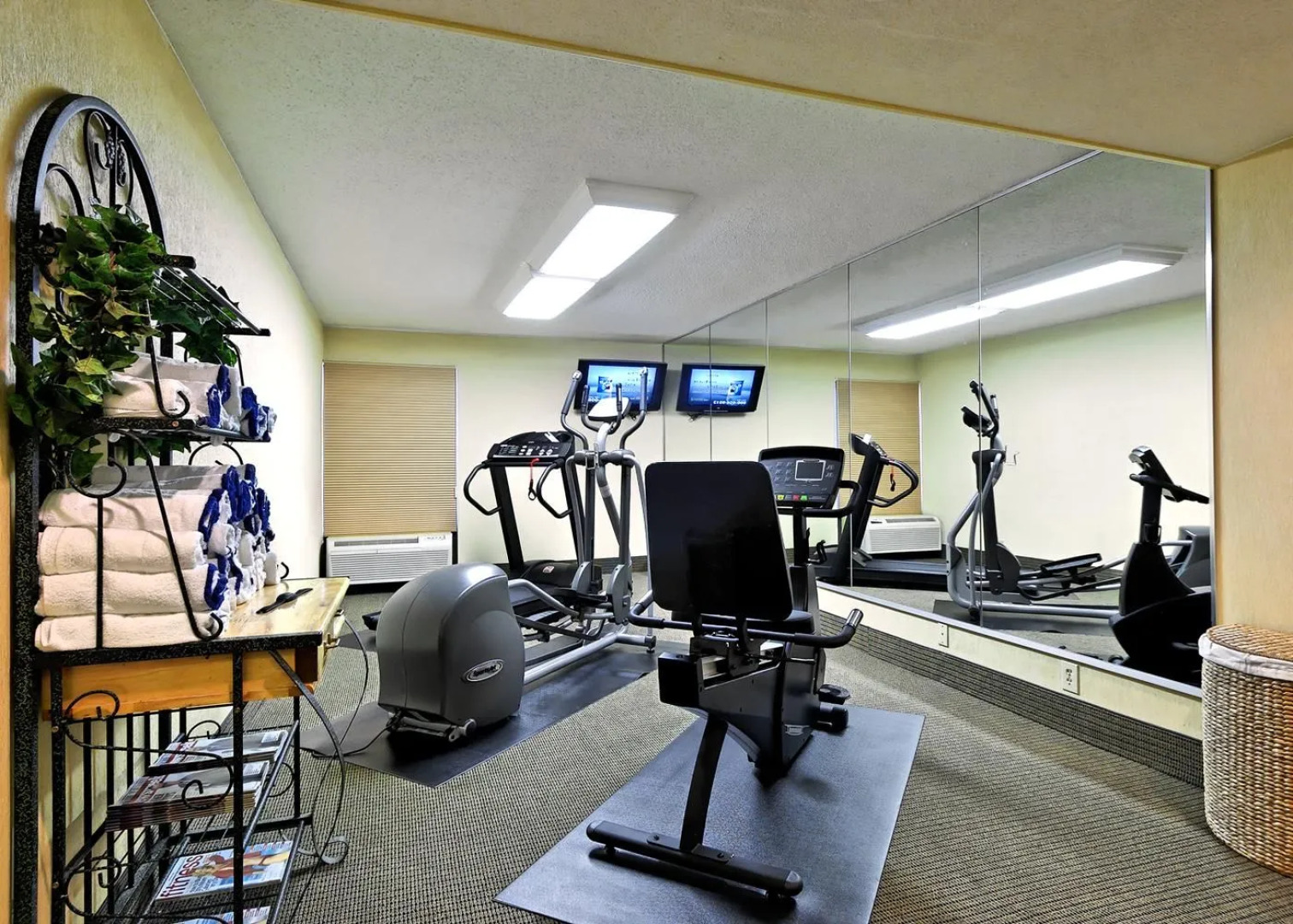 Hampton Inn Memphis-Poplar