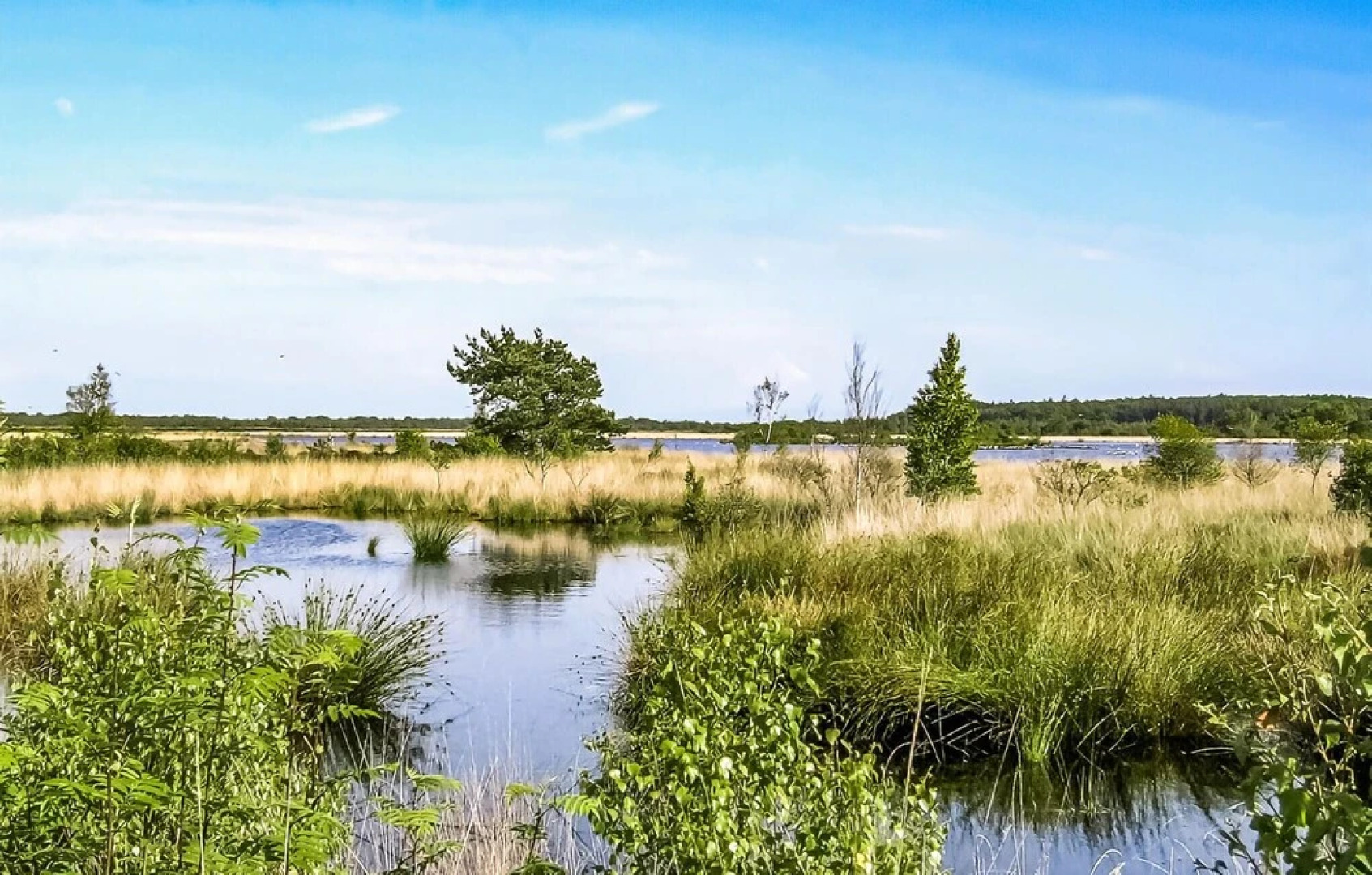 Awesome Home in Oosterwolde With Wifi and 2 Bedrooms