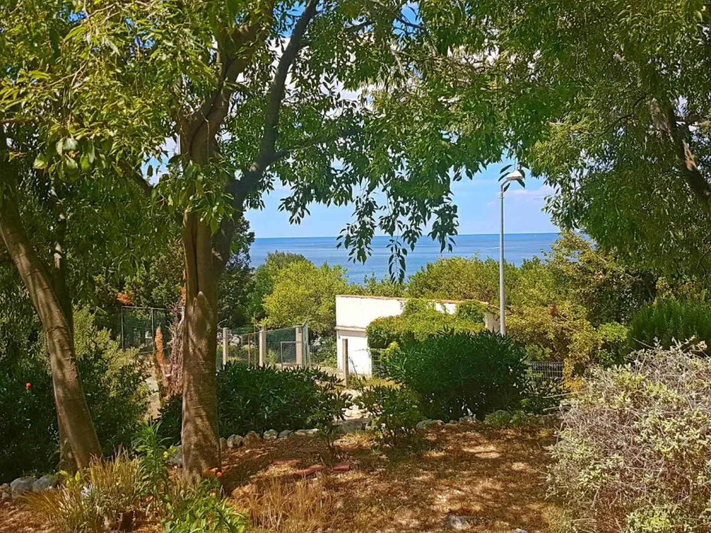 Apartments Dalmatia Blue