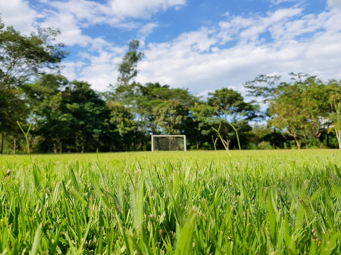 Grínberg's Village Hotel