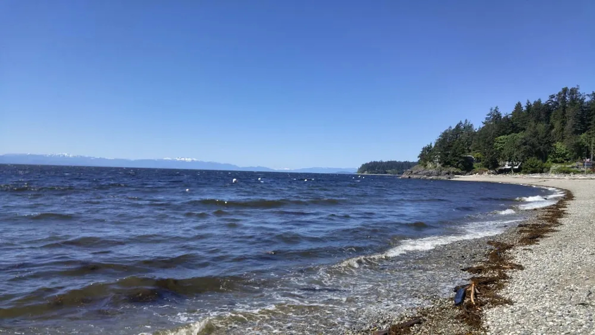 Sunshine Coast Treetop Wonderland