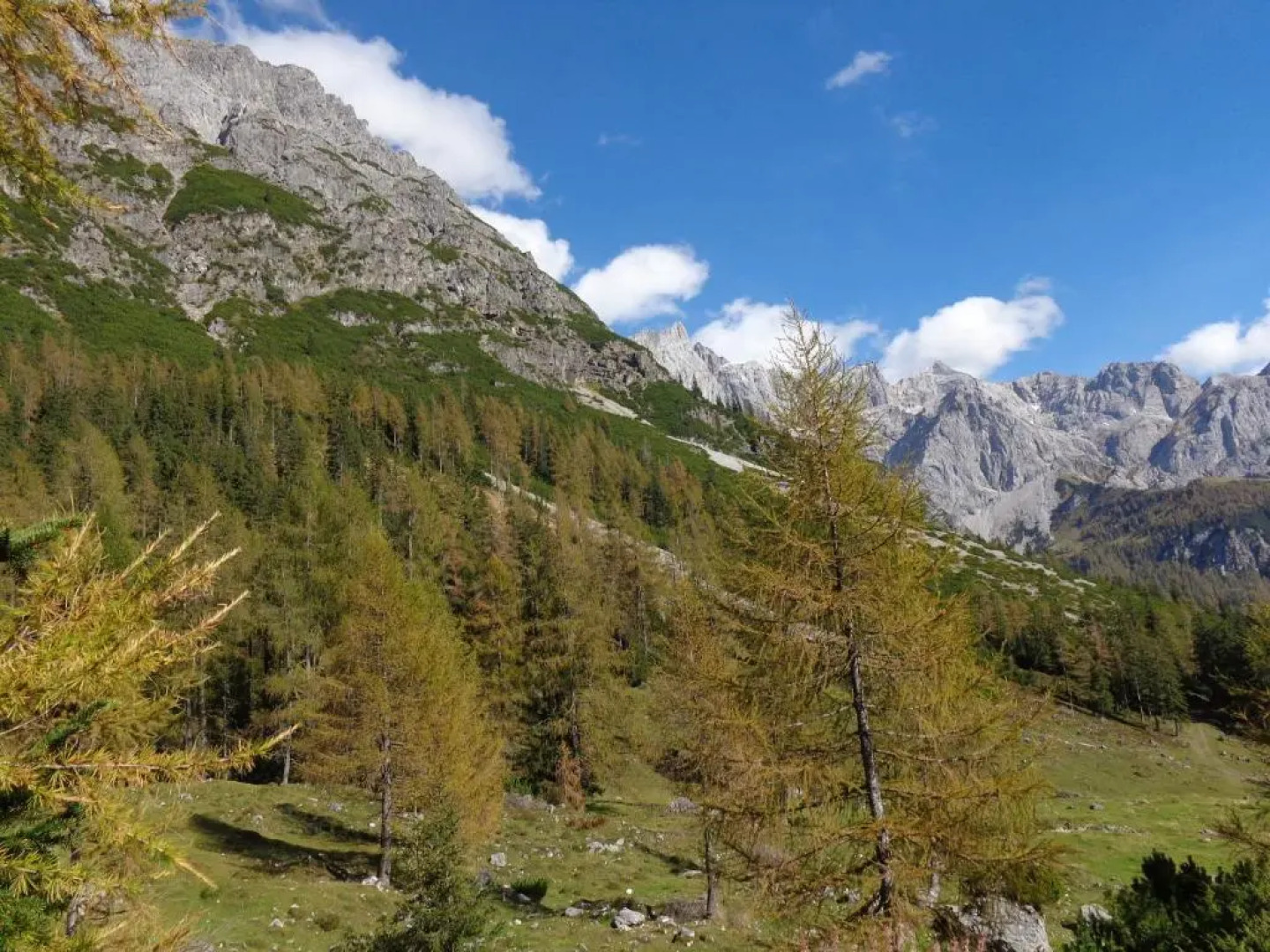 Ferienwohnungen Vierthaler