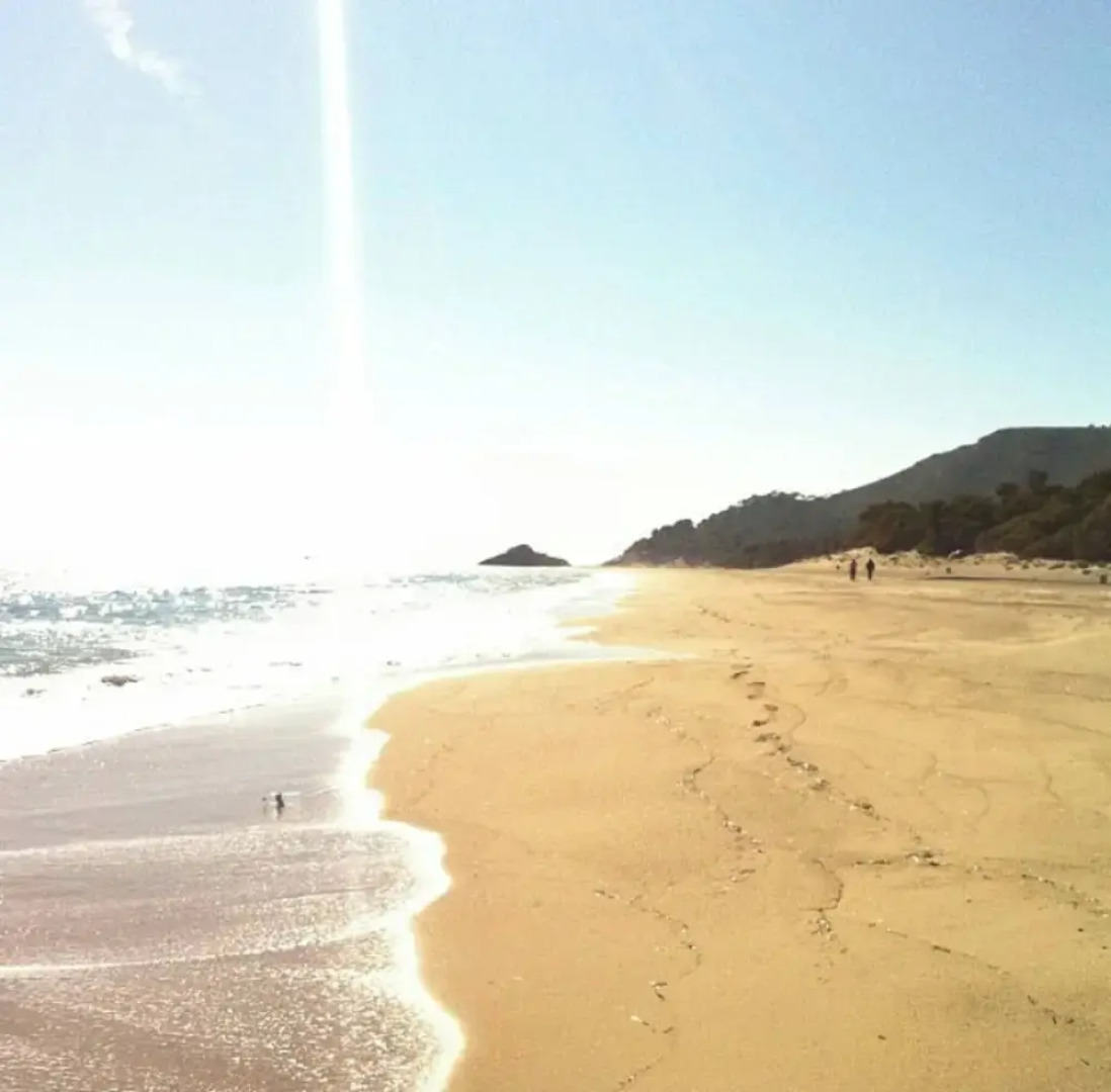 Casa En La Playa Con Piscina Y Port Aventura
