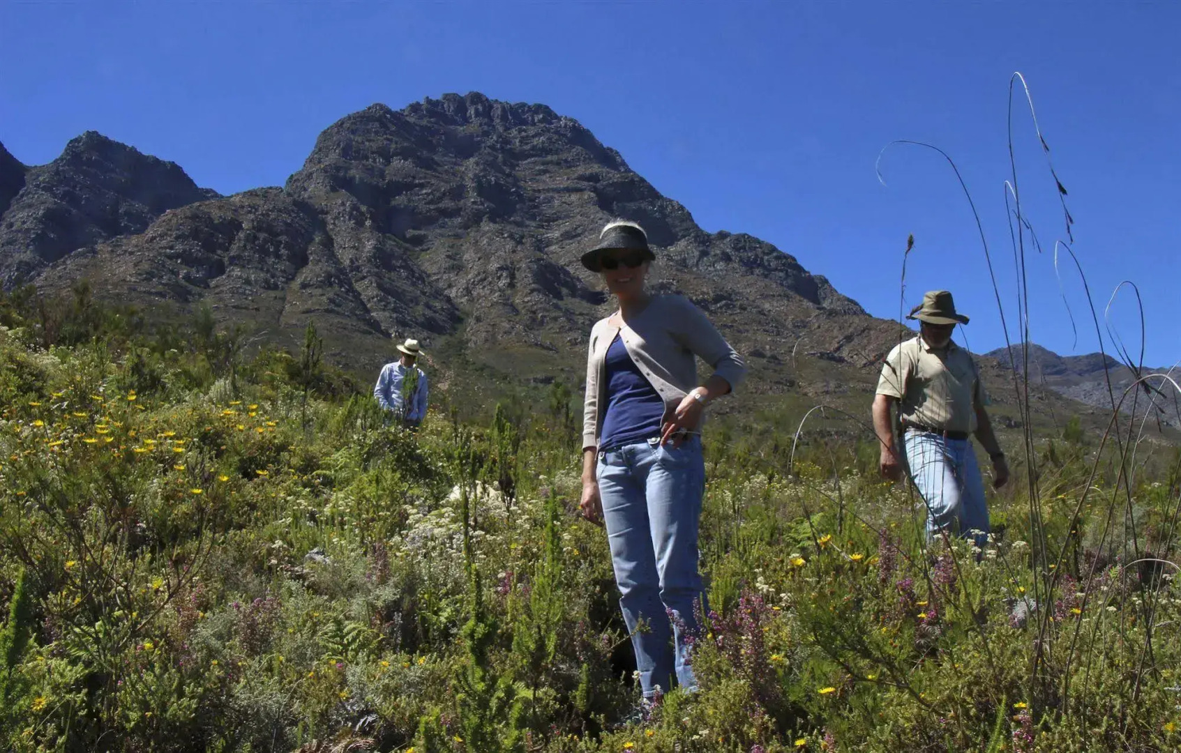 Bartholomeus Klip Farmhouse