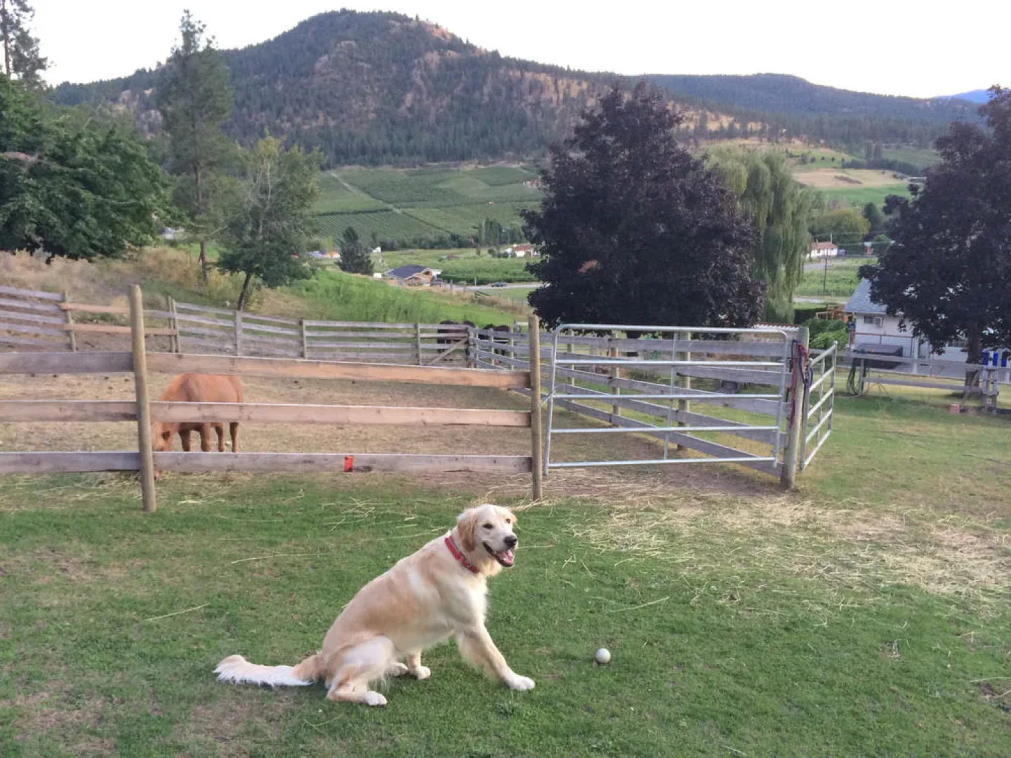 Vista Ranch Bed & Breakfast