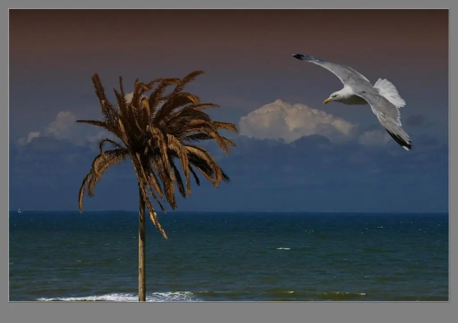 Appartement en Studio Papillon