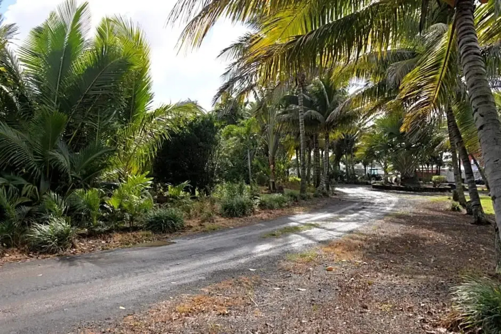 Domaine des Oiseaux Réunion