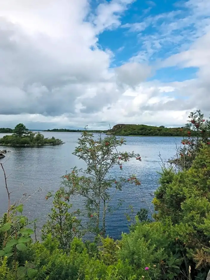 Hillcrest farmhouse Bed & Breakfast