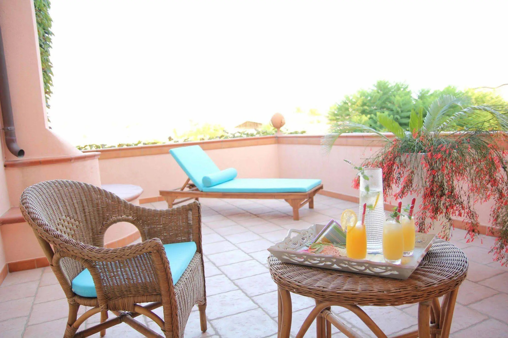 Il Giardino delle Jacaranda