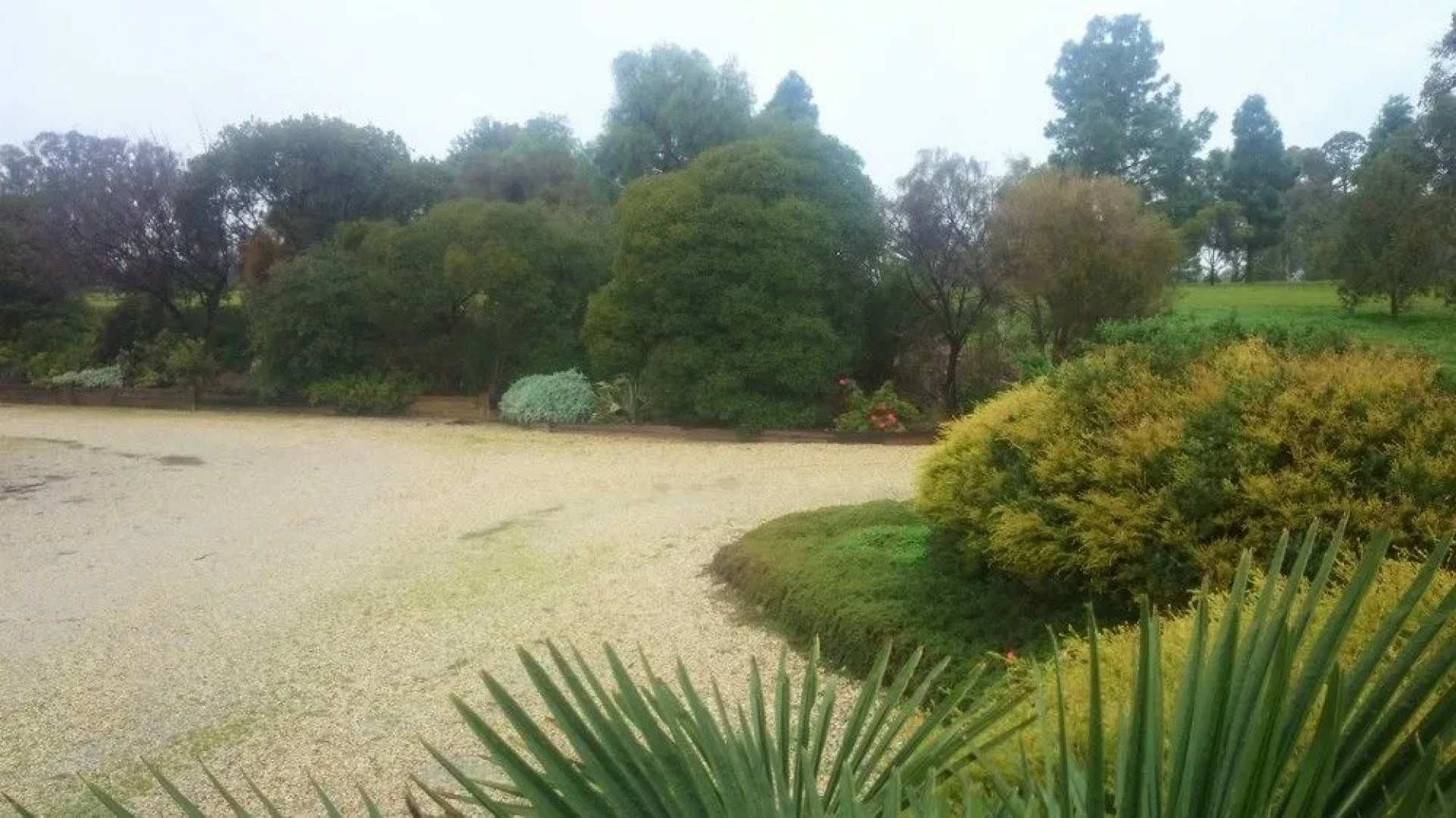 Rutherglen Motor Inn