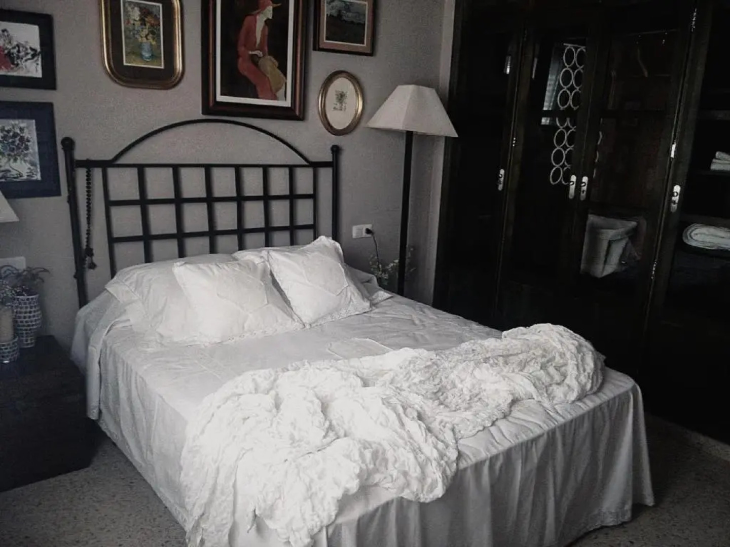 Mis Tres Centenarios