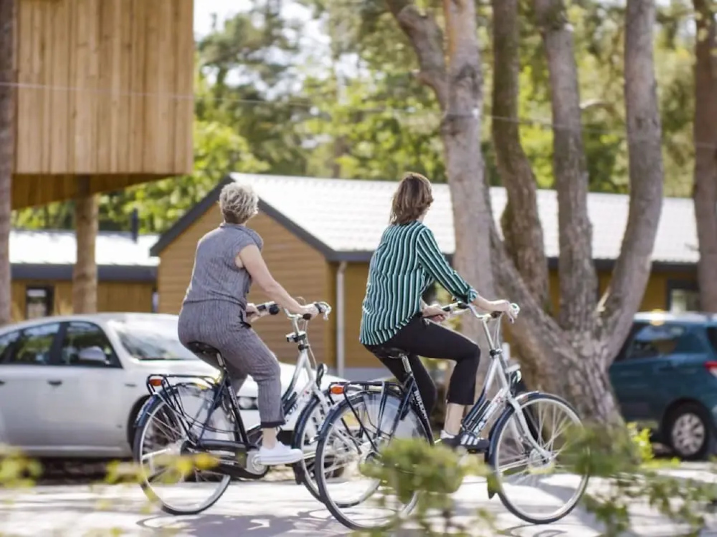 EuroParcs De Wije Werelt