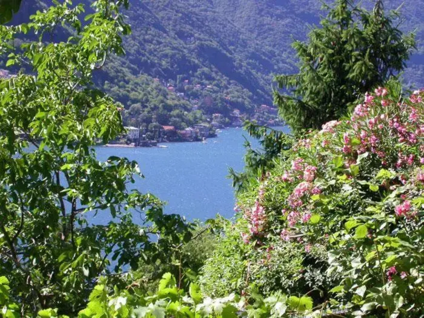 Sonia - Musica & Aperol Panorama-Fewo (DG)