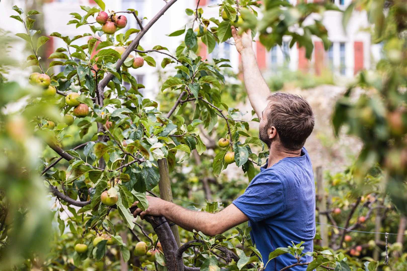 Hotel Odelya Basel (Ex.Bildungszentrum 21)