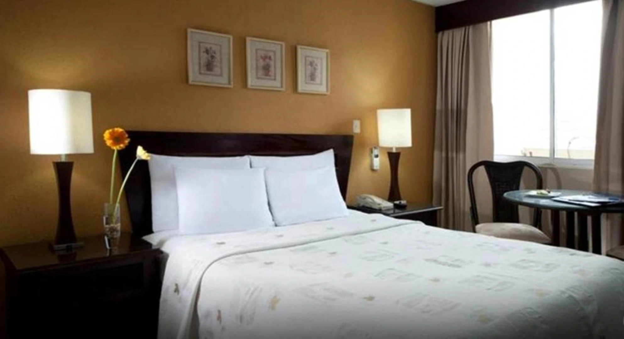 Centro Plaza Hodelpa