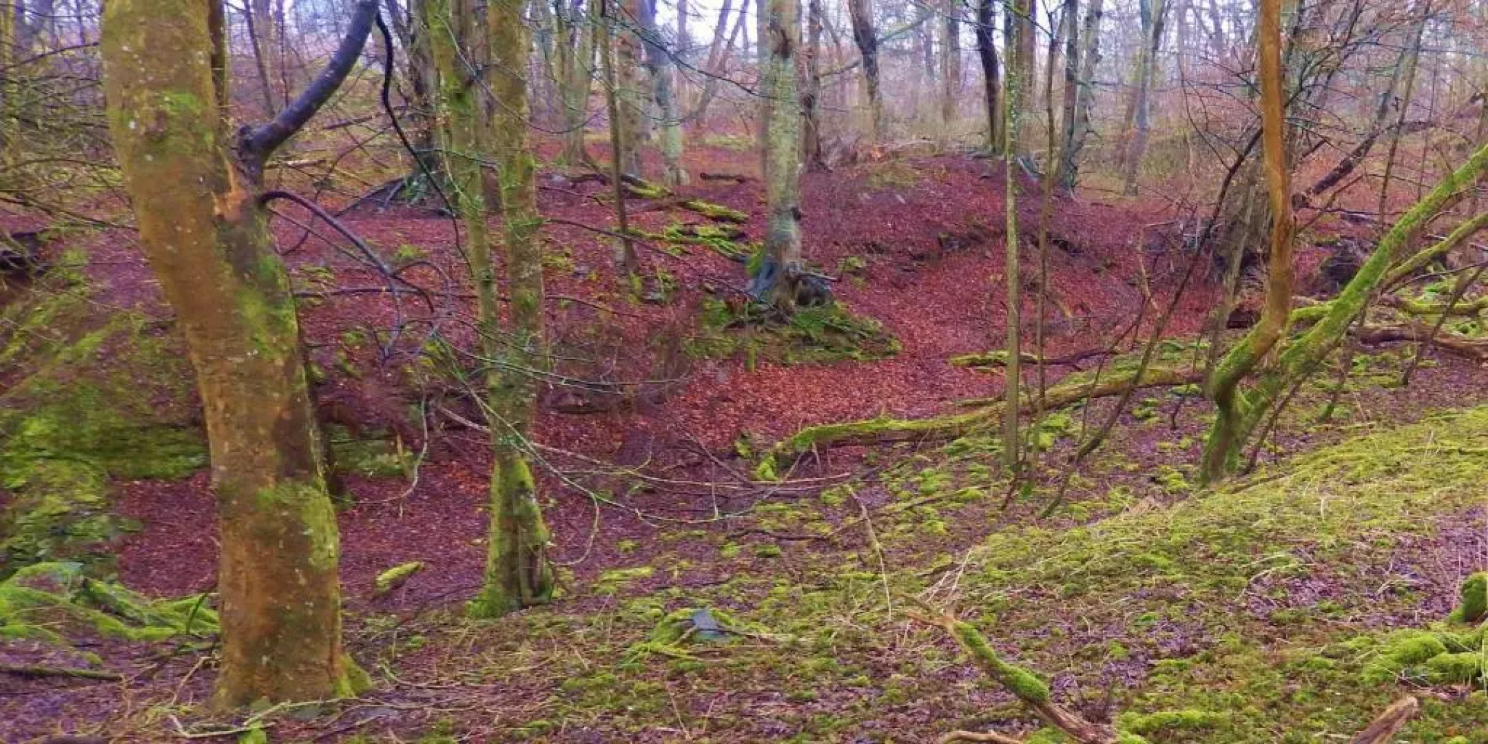 Scotland Shooting Club