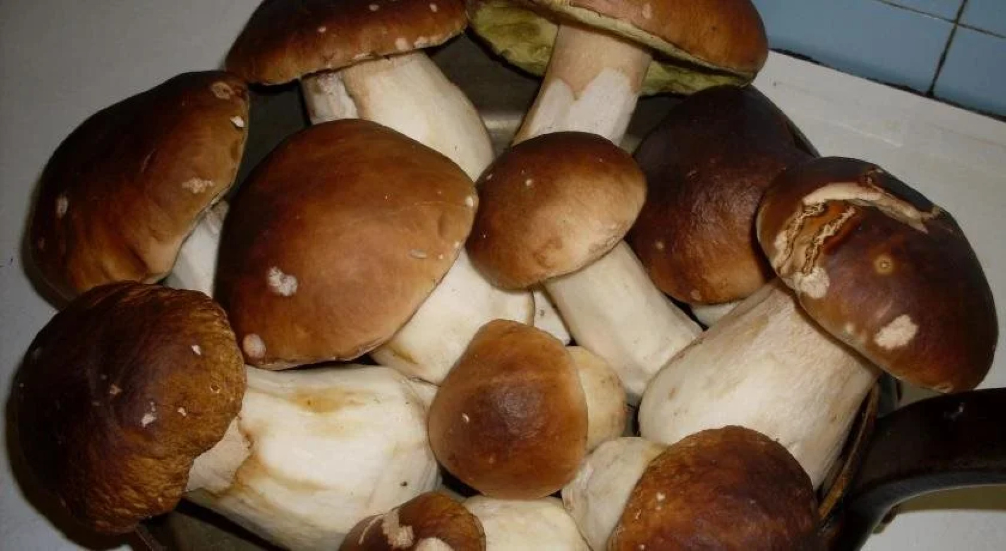 Urban Style L'Étape