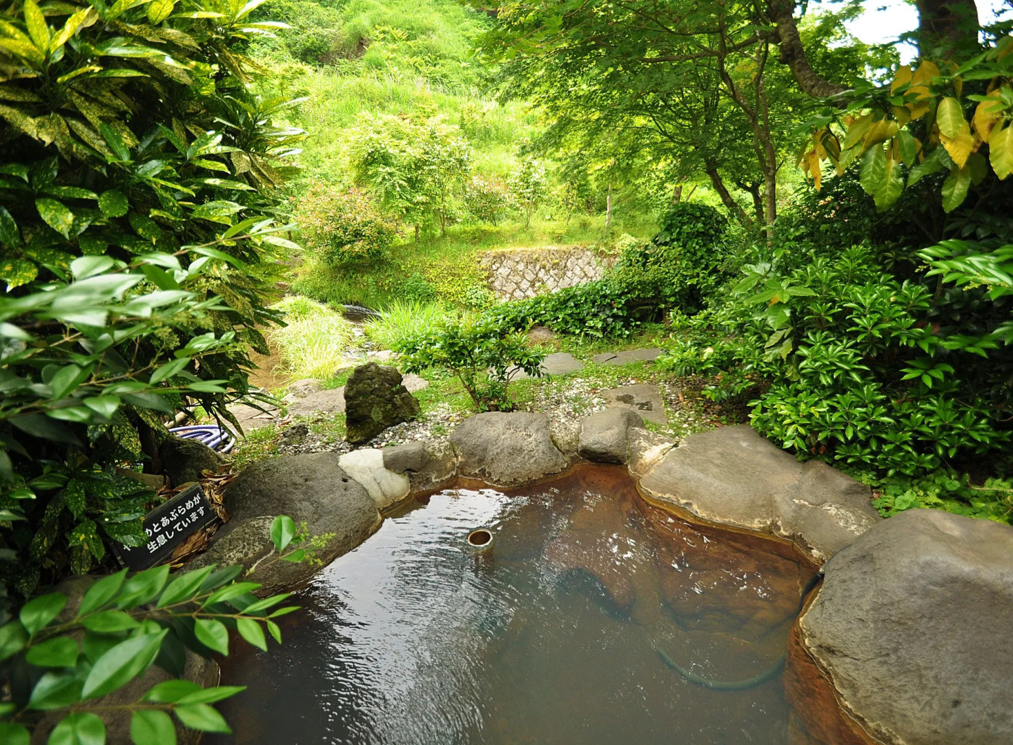 Genryu no Yado Hozantei