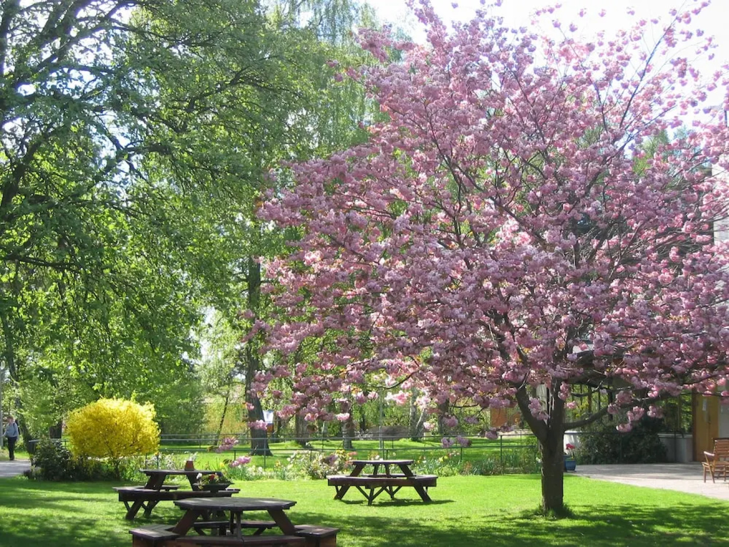 Hagabergs konferens & vandrarhem