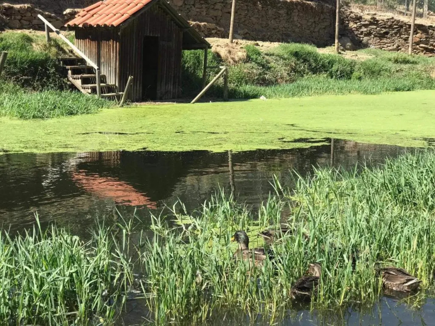 Valonquinta - Agricultura E Turismo De Vila Flor