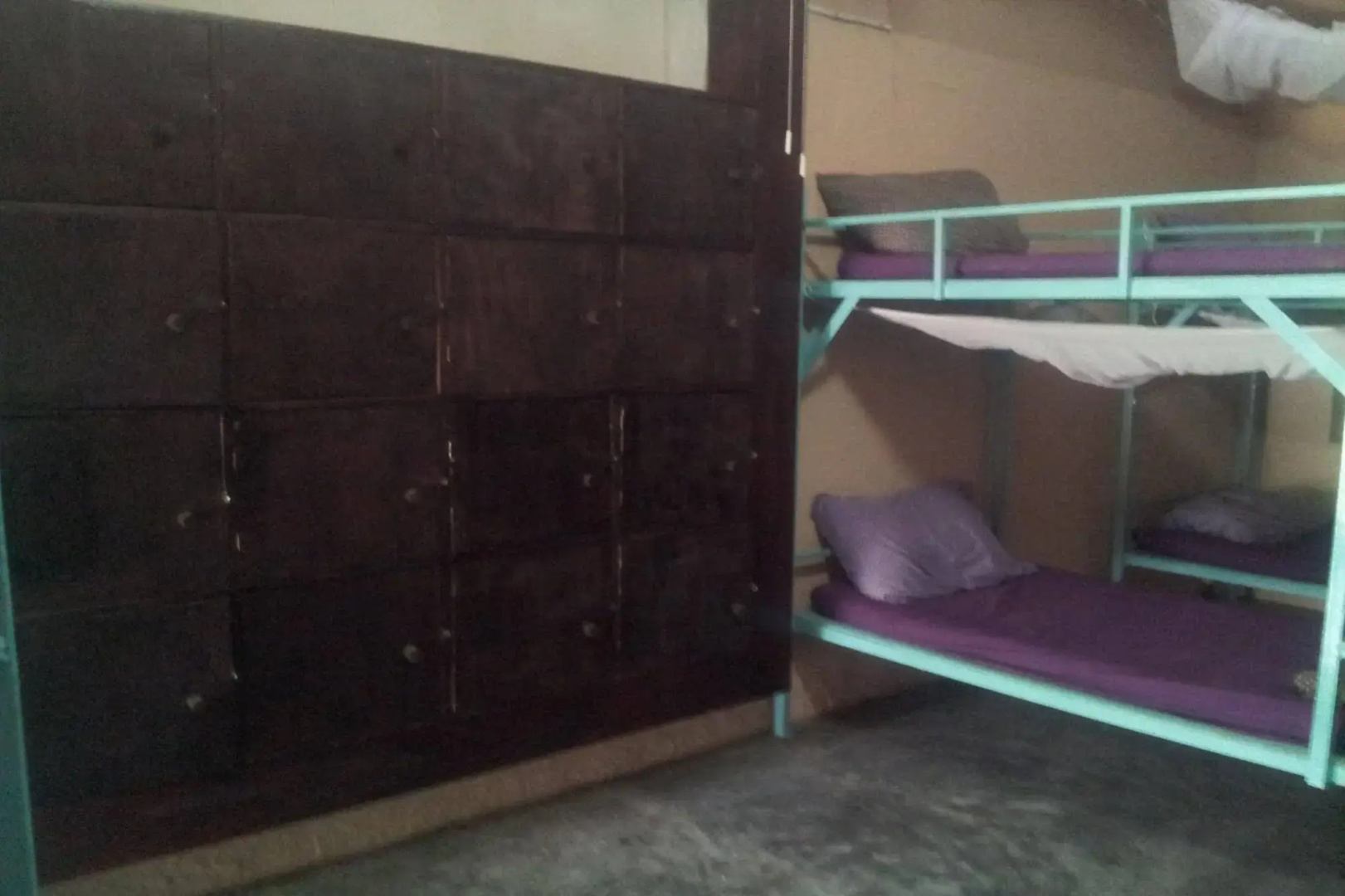 Purple Monkey Backpackers