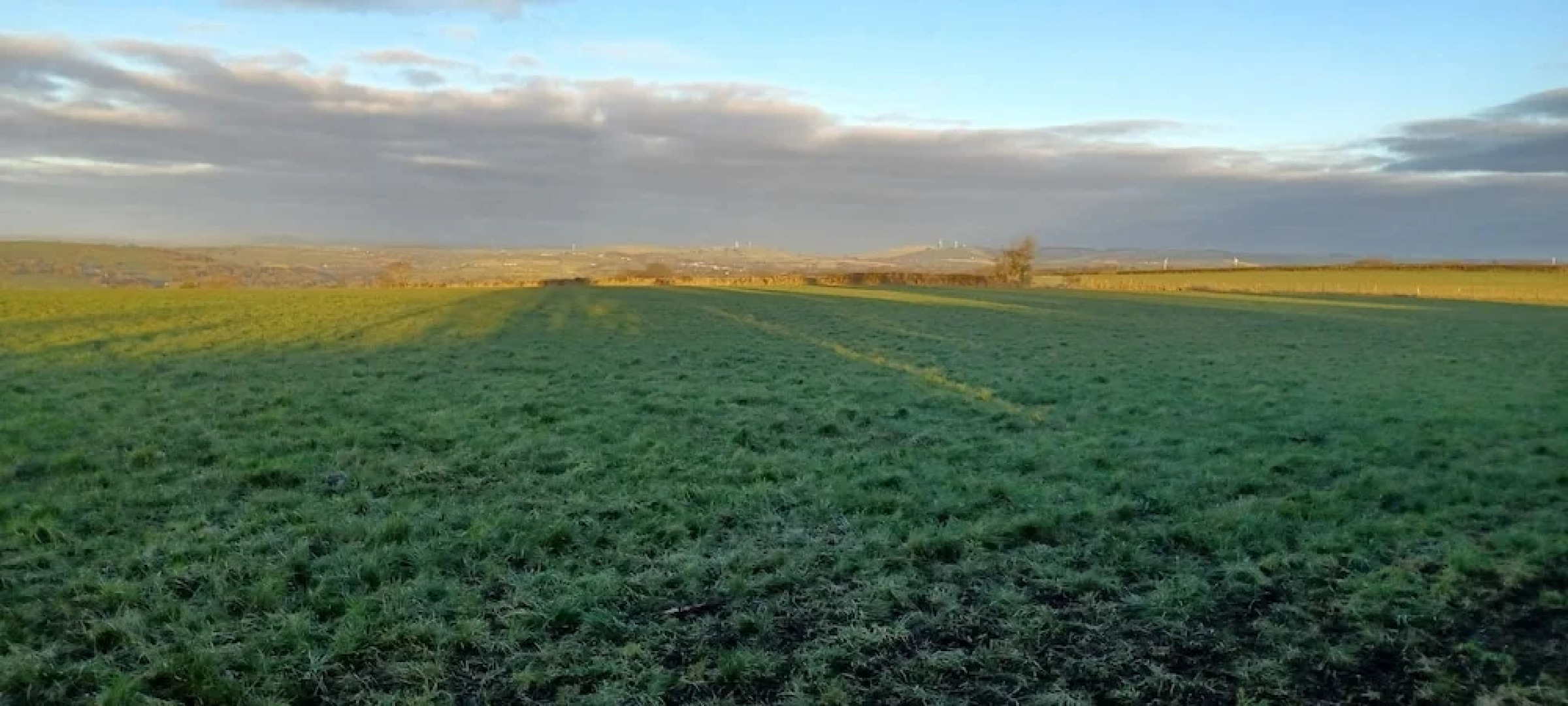 Relax With Amazing Views! 1-bed Studio in Tegryn