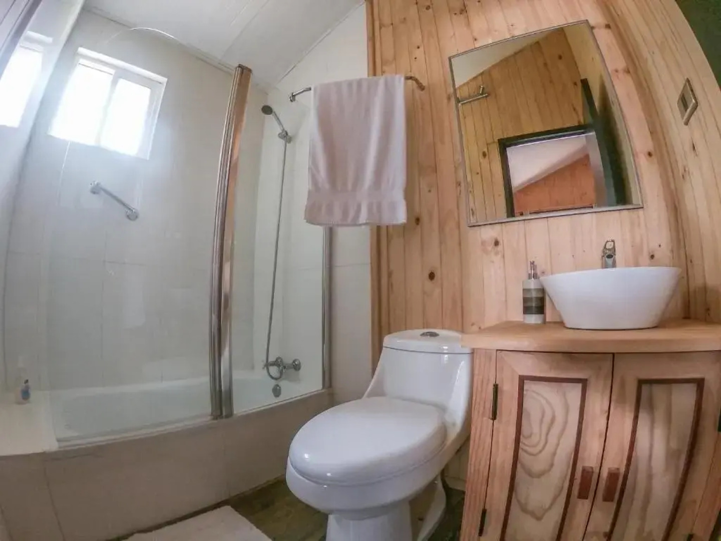 Cabañas Parque Michimahuida