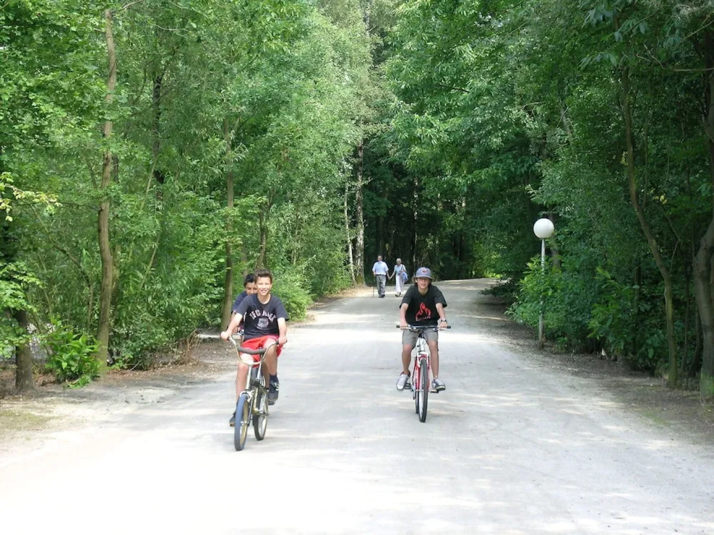 Chalet in Baalse Hei With Modern Comforts