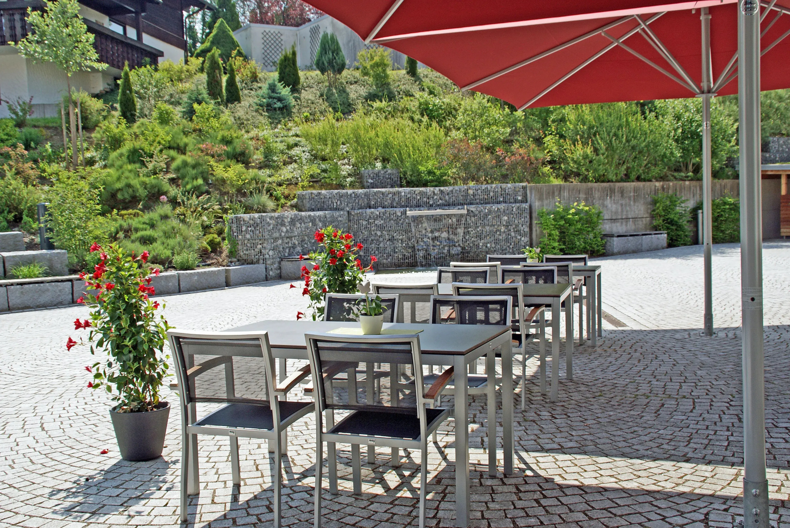 Ökölogisches Bildungszentrum Kultiviert