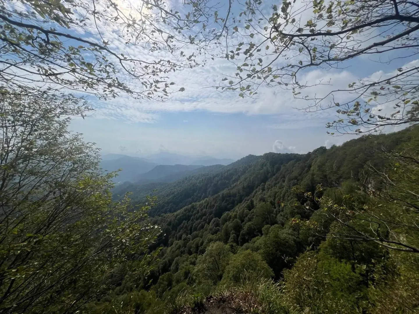 Ранчо в горах Лаго-Наки