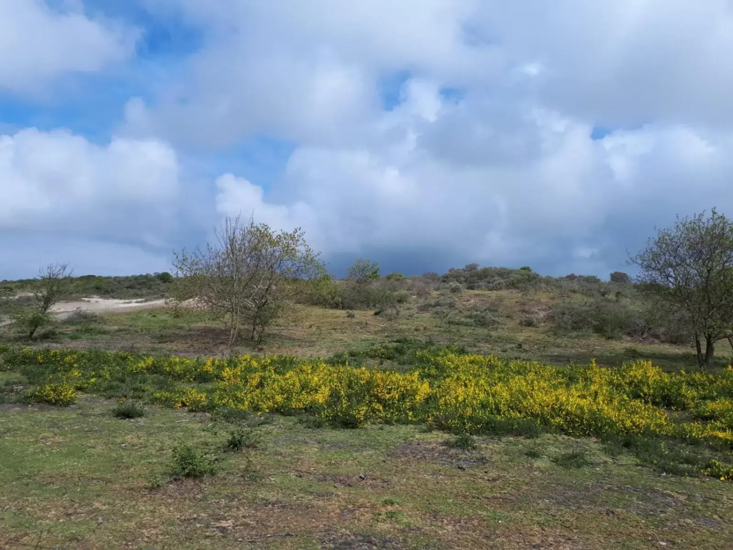 Vakantiehuis La petite Redousse