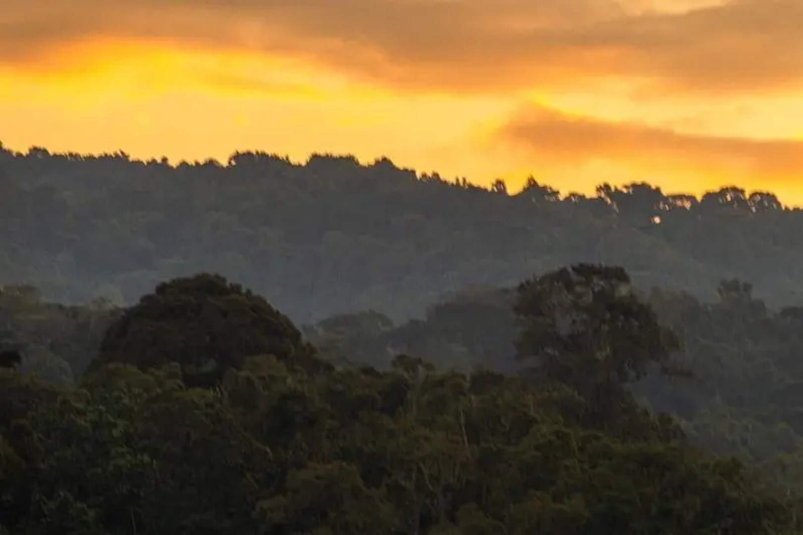 Gorilla Safari Lodge