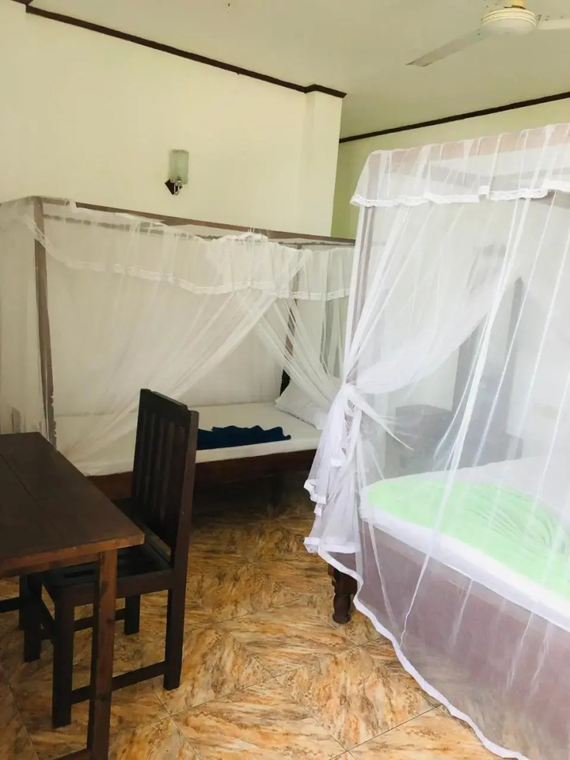 Surf Paradise & Cabana