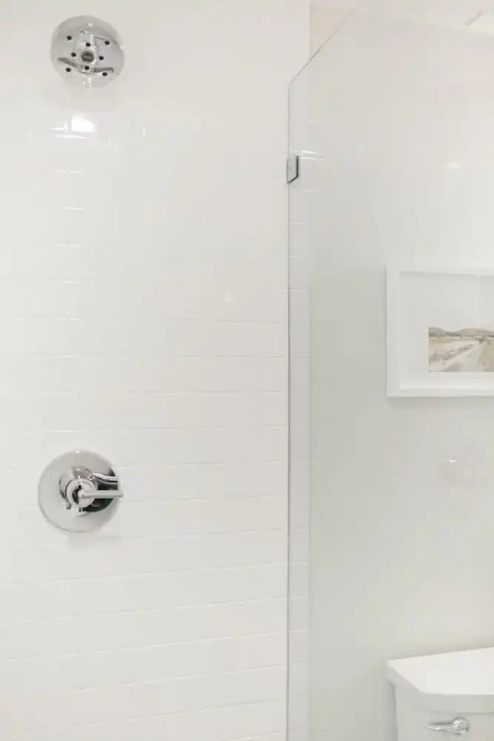 The Ballard Socialite