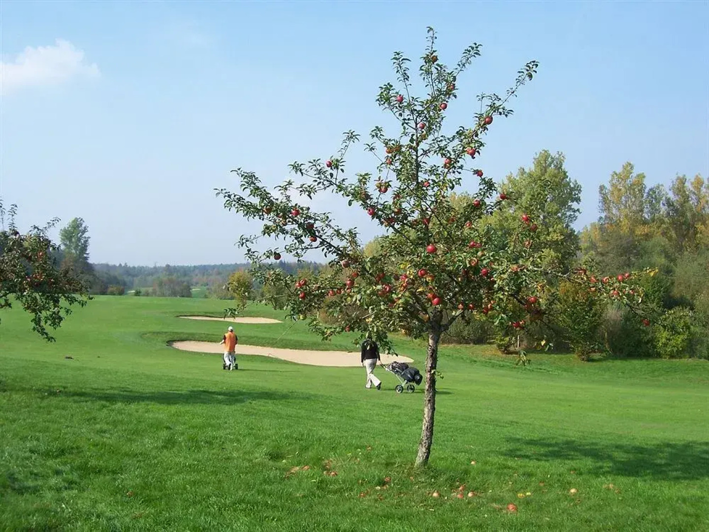 Hotel Schloss Reichmannsdorf