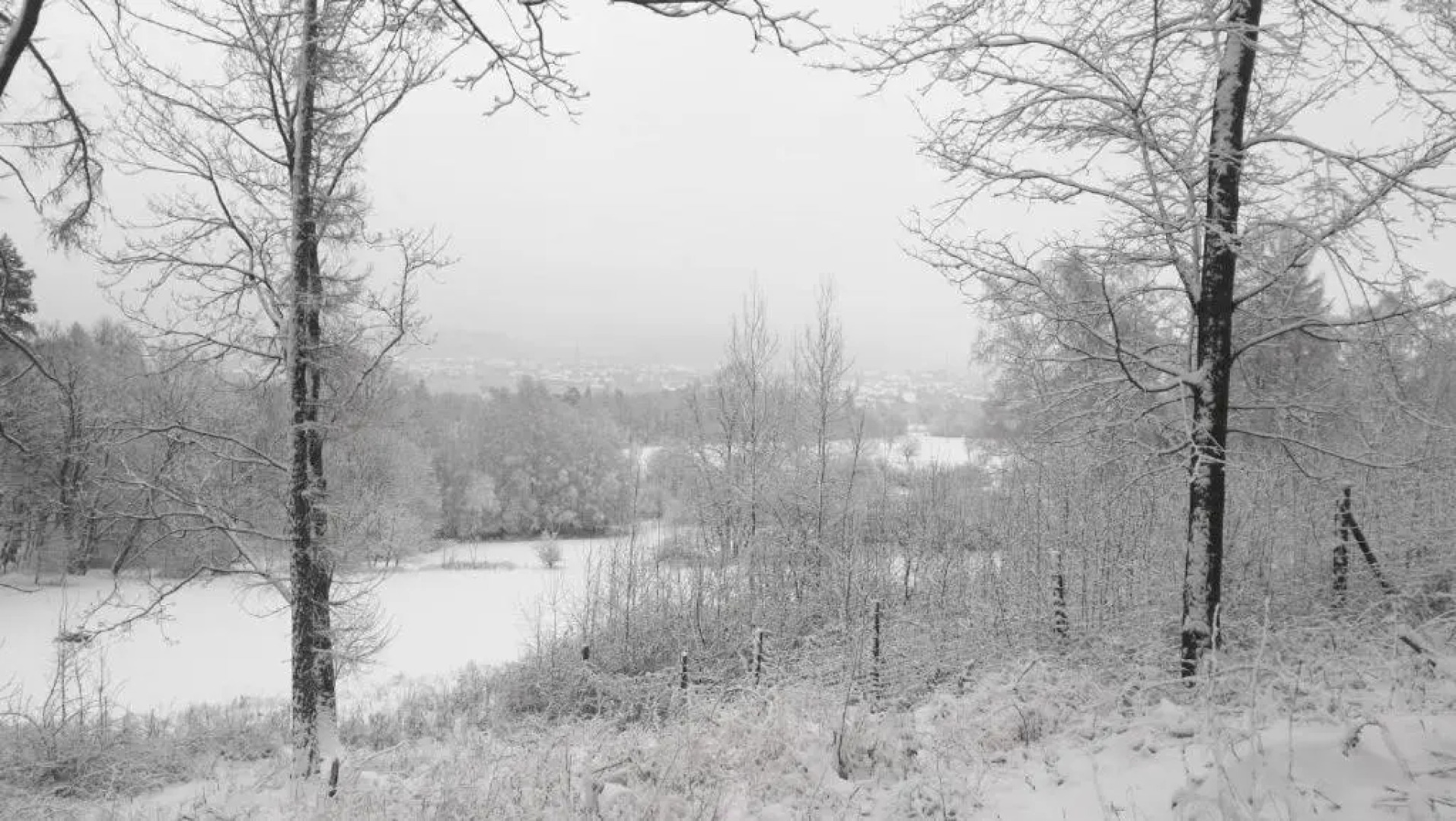 Apartament F21 Deluxe w Bielawie - Widok na Góry Sowie