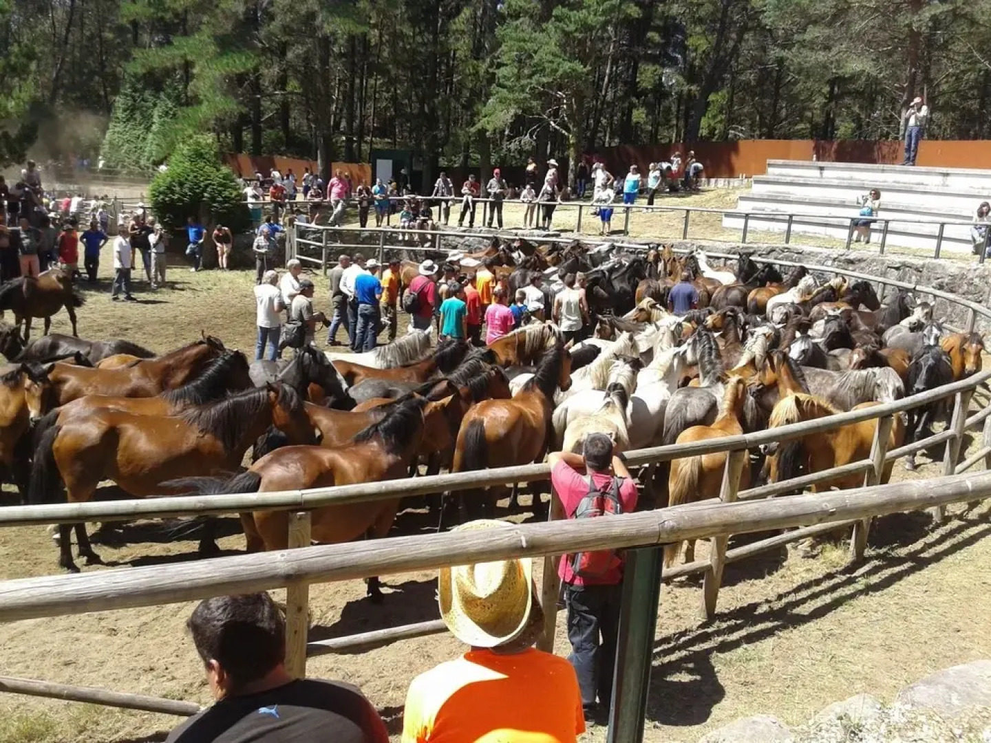 Casa Rural Os Carballos