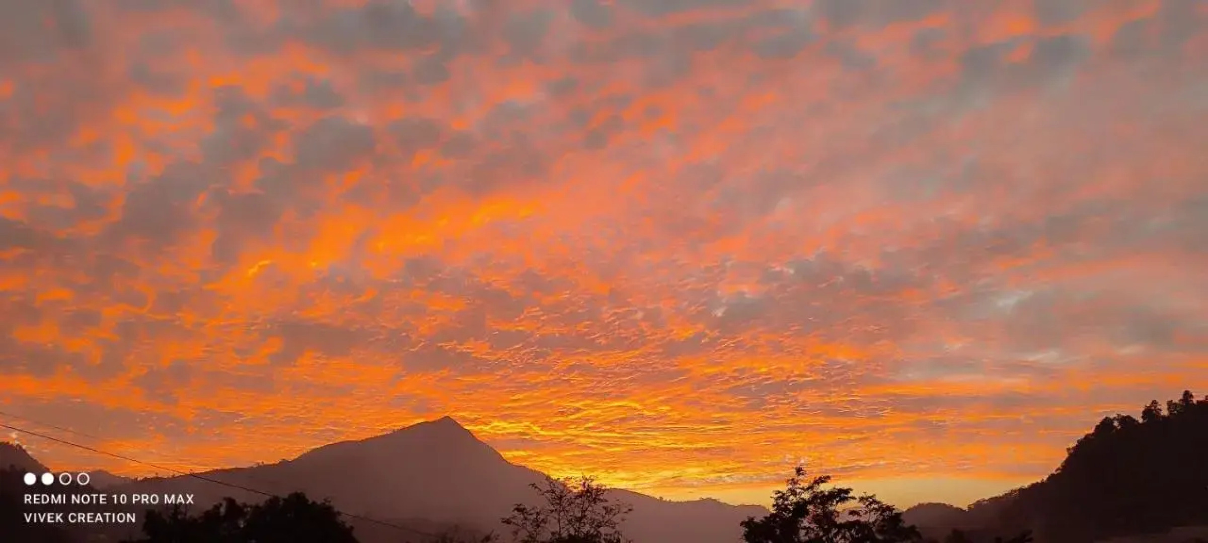 The Jungle Mist Resort