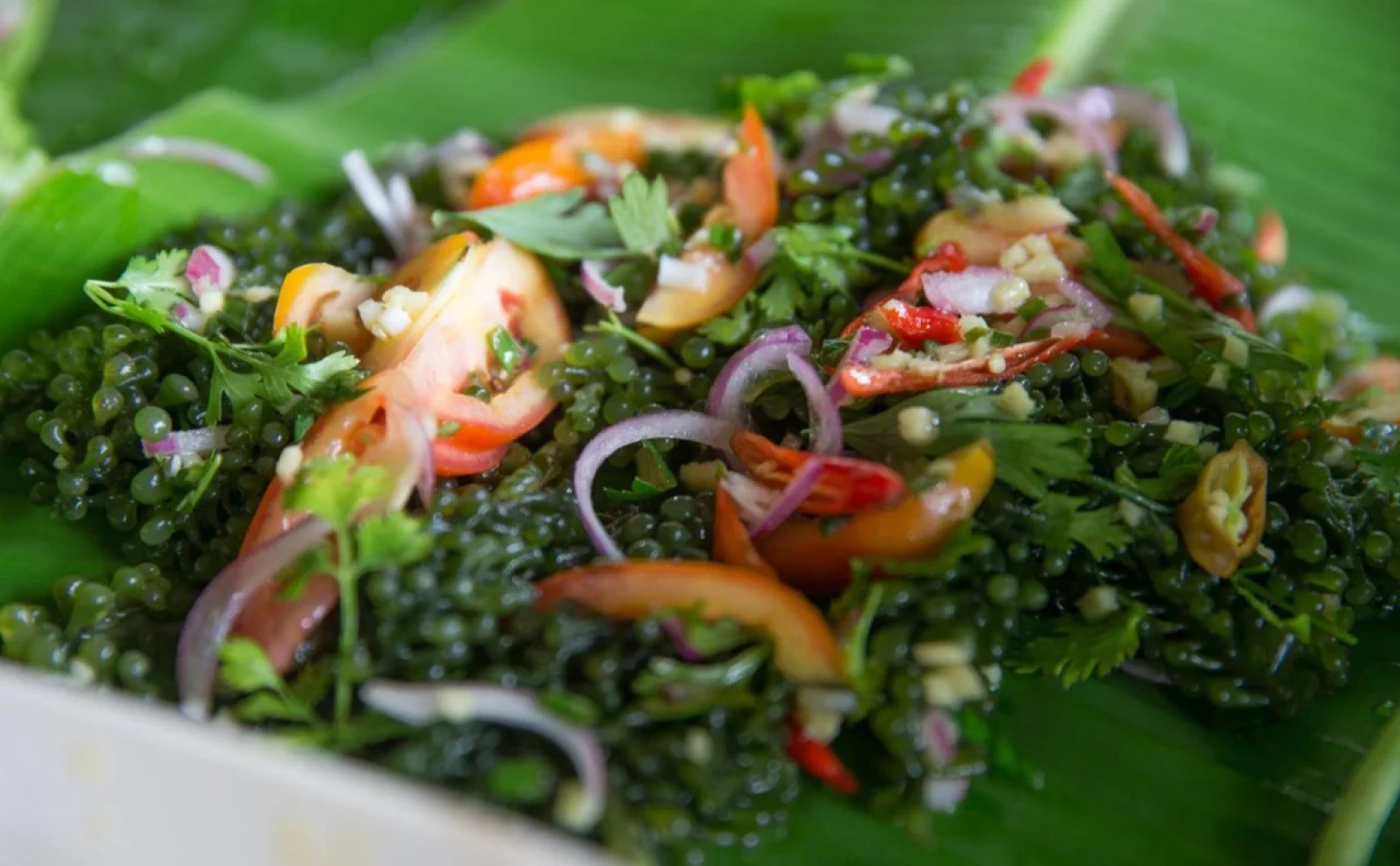 Bamboo Private Islands