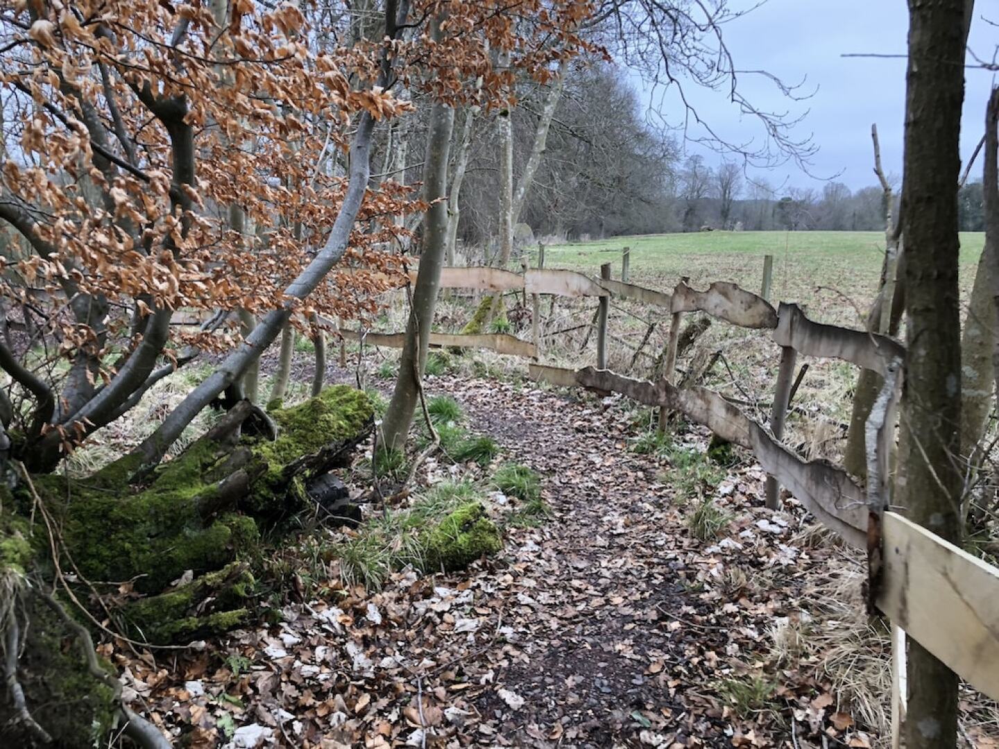 Edinburgh Cabin Camping