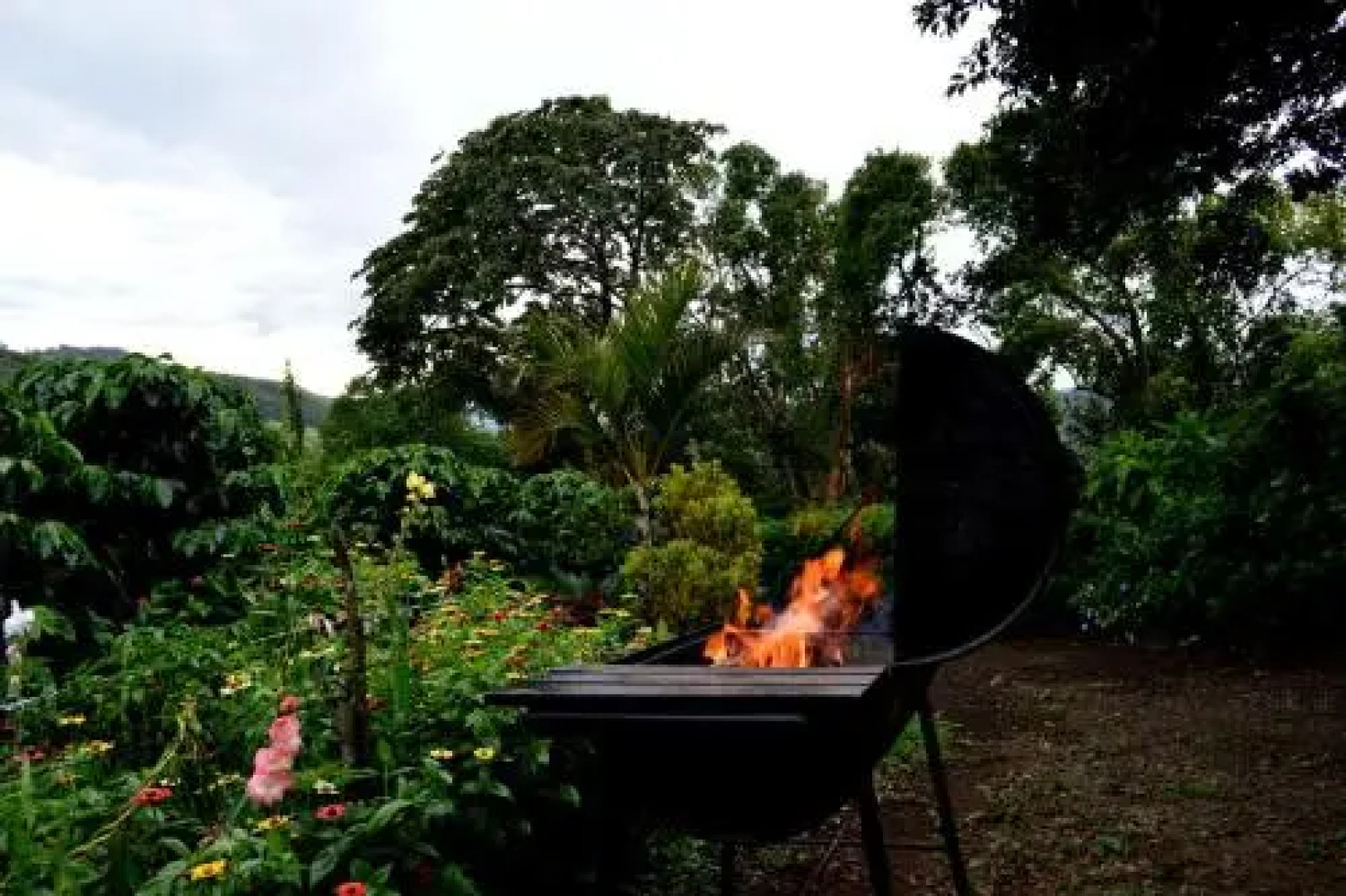 Casa Mariposa Monteverde